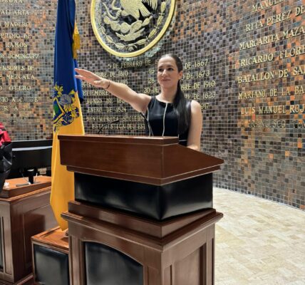 Tumba TEPJF diputación de Lucky Michel