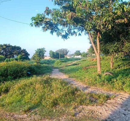 Piden vecinos de El Salitrillo limpieza de su parque público