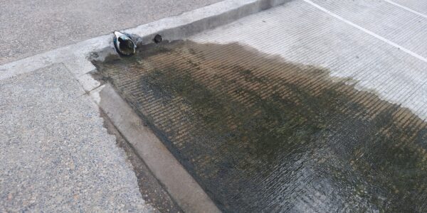 Denunció La Primavera tiradero de agua en avenida México; piden solución 