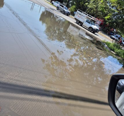 Desarrollo La Primavera y edificio 1490 causantes de escurrimiento de agua en Av.México: Seapal