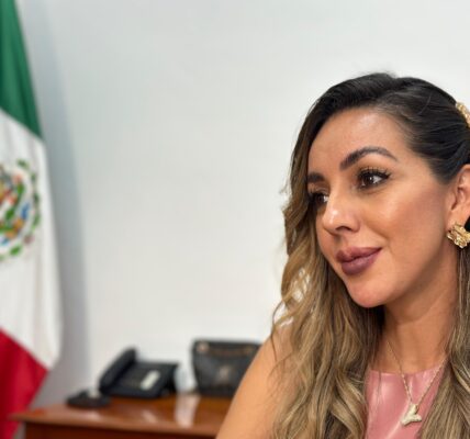 Cabildo debe asumir responsabilidad de nuevo cobro: Yussara Canales