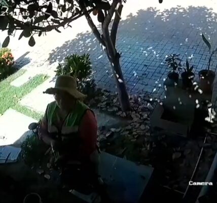 Graban a coordinadora de Desarrollo social robándose maceta