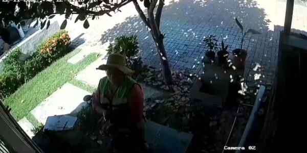 Graban a coordinadora de Desarrollo social robándose maceta