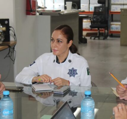 ConfirmaTránsito que continuará operativo para retirar objetos monstrencos