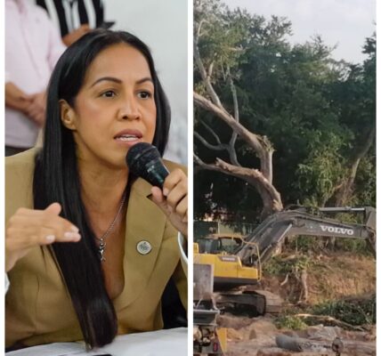 Exhorta regidora a denunciar penalmente ecocidio en Fluvial por Hospital CMQ.