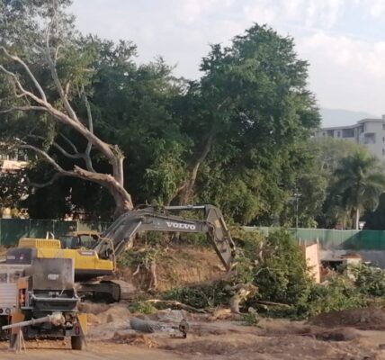 Levantan acta por tala donde construirían hospital de Jorge Villanueva, consejero de Munguía 