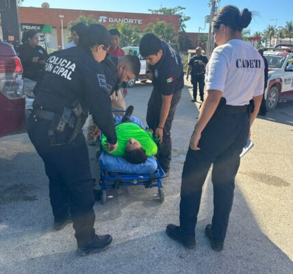 Rescatan a 2 mujeres atacadas por abejas en Río Ameca