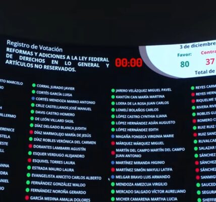 Aprueban en el Senado impuesto federal de 42 dólares a cruceristas