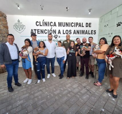 Entregan en adopción cachorros de perrita rescatada; quedan 3 en busca de hogar