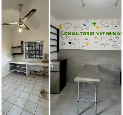 Rehabilitan primera parte del centro de Control y Sanidad Animal con donaciones 