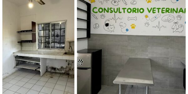Rehabilitan primera parte del centro de Control y Sanidad Animal con donaciones 