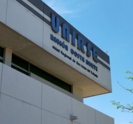 Burocratizan pagos de pensión alimenticia en Unirse Puerto Vallarta