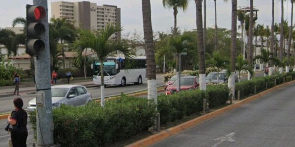 Implementarán sistema de riego en avenida de ingreso: Munguía