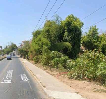 Hereda ciudadana terreno sobre Medina Ascencio al Ayuntamiento de Puerto Vallarta 