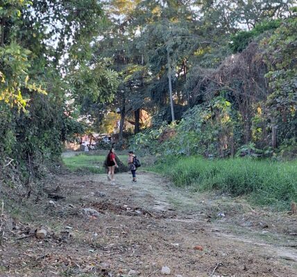 Calle Veracruz conectará con Etziquio Corona a traves de Lazaro Cárdenas