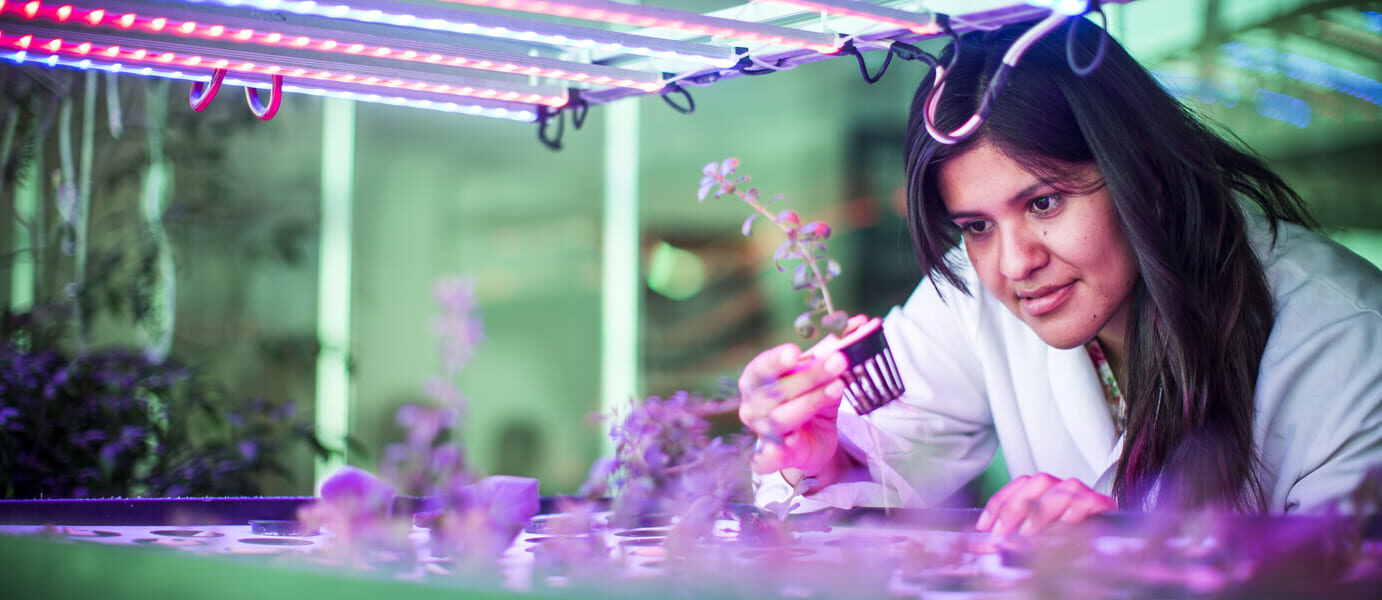 British Council abre convocatoria de becas STEM a mujeres mexicanas para maestrías en Reino Unido