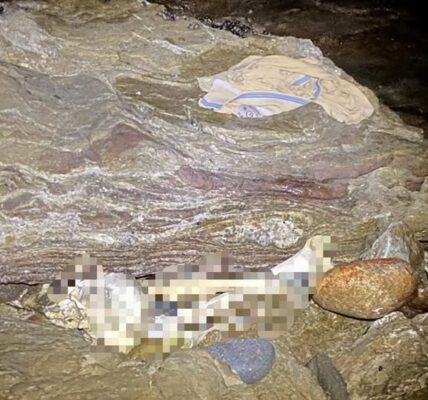 Hallan esqueleto en playa Palito Verde en Bahía de Banderas