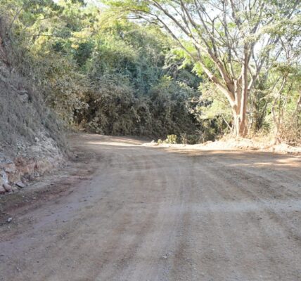 Inician empedrado con huellas de concreto por 10.5 millones en El Jorullo