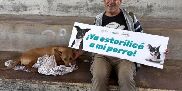 Invitan a Jornada de Esterilización Gratuita en Casa Tucán de Ramblases