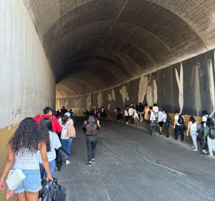 Limpian del Libramiento 6 toneladas de basura