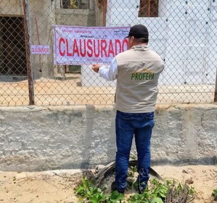 Clausura Profepa construcción en playa de San Pancho