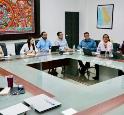 Movilidad en Bahía: el BID revela deficiencias, la conexión con Vallarta sigue estancada