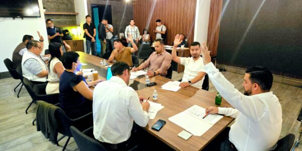Río Danubio en López Mateos y Grulla y Flamingos en Los Sauces serán pavimentadas