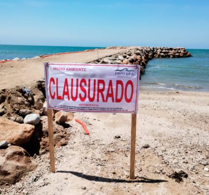 Profepa clausura espigón en Bucerías