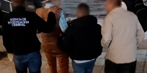 Anuncia Profepa detención de quien habría robado tortugas casquito del CUC