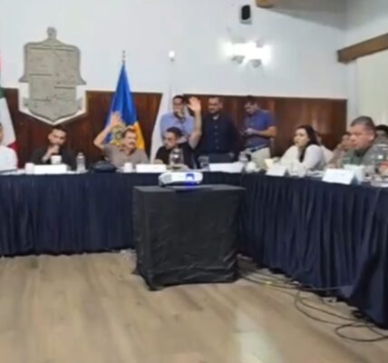 Se abstienen regidores del Partido Verde en propuesta para endurecer multas por talar árboles