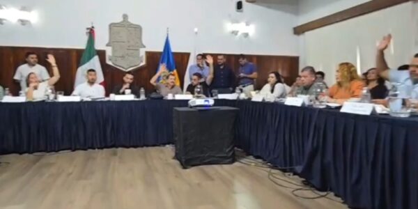 Se abstienen regidores del Partido Verde en propuesta para endurecer multas por talar árboles