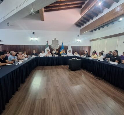Particular pretende quitar terrenos a familias que estaban por recibir título en Joyas del Pedregal Particular pretende quitar terrenos a familias que estaban por recibir título en Joyas del Pedregal