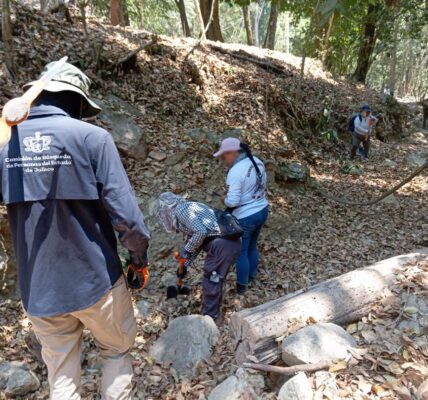 Encuentran Comisión de Búsqueda de Personas restos óseos en Puerto Vallarta