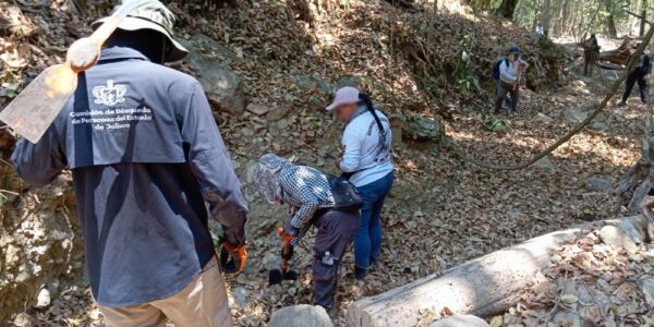 Encuentran Comisión de Búsqueda de Personas restos óseos en Puerto Vallarta