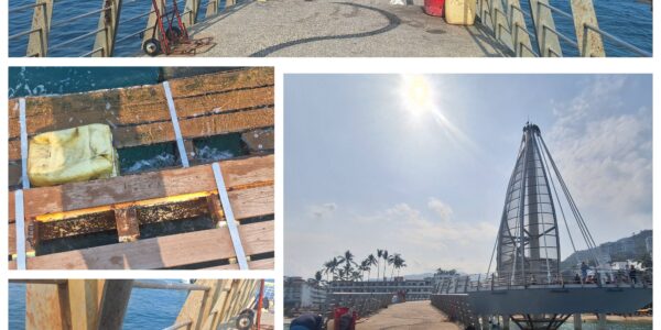 Piden arreglar desperfectos de muelle Los Muertos