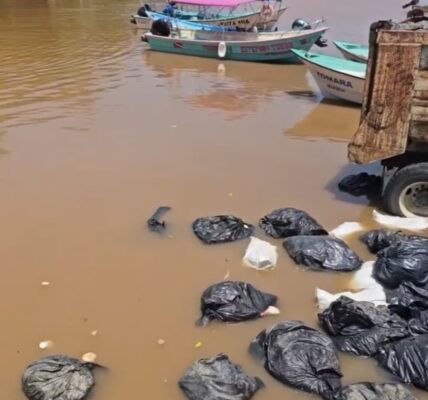 Pide Ayuntamiento vallartense intervención de Profepa por basura en río Boca de Tomatlán