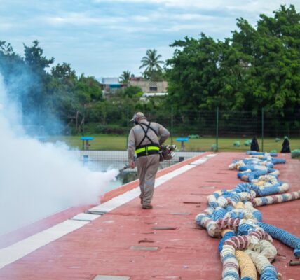 Alberca olímpica: inservible, verde y con miles de larvas del mosco del dengue