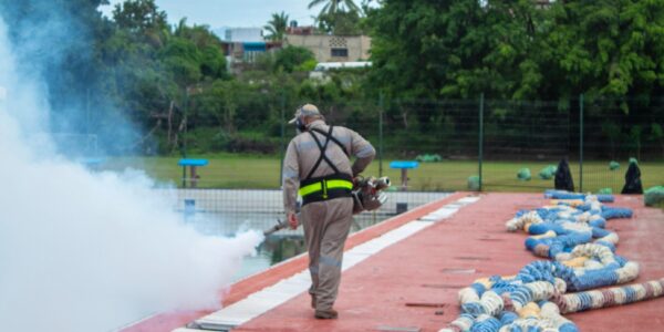 Alberca olímpica: inservible, verde y con miles de larvas del mosco del dengue