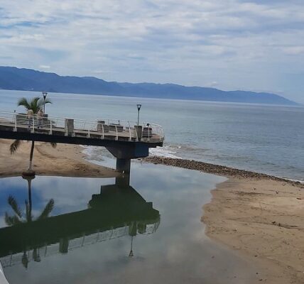 No aptas para bañarse playa Mismaloya, Camarones y El Cuale en Puerto Vallarta: Cofepris