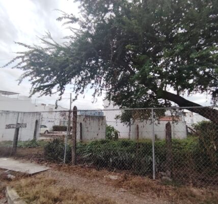 Retirará ciudadana la malla ciclónica del área federal