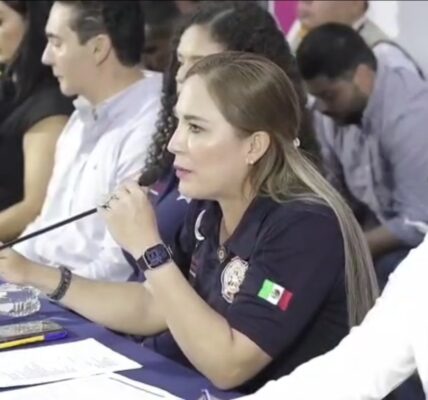 Gestor engañó a hotel de Sayulita: Directora de Protección Civil Bahía 