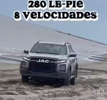 Graban anuncio de auto en zona de anidación de tortugas en Puerto Vallarta 