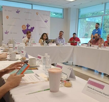 Desde 2024 no sesiona mesa técnica de alerta de género en Puerto Vallarta… y siguen los feminicidios