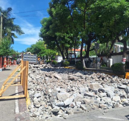 Condonará Padrón y Licencias pago de invasiones de locatarios por ampliación del Malecón