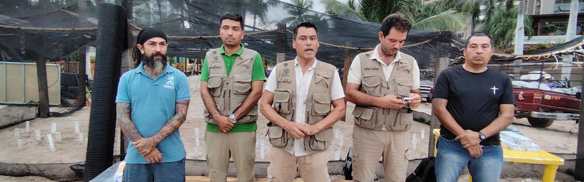 43 mil huevos de tortuga perdidos por «Priscilla»: campamentos continúan evaluando afectaciones 