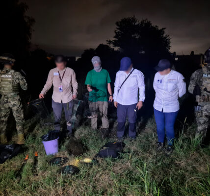 Deshabilita Profepa y Semar 12 trampas en zonas de anidación de tortuga casquito en Puerto Vallarta