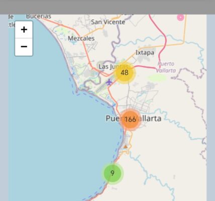 Se robaron 230 autos en Puerto Vallarta