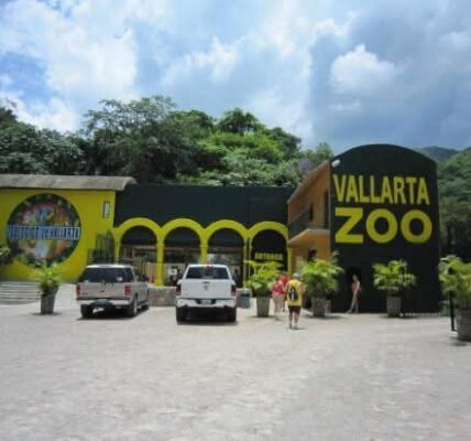 Anuncia Zoológico de Vallarta que tomará acciones legales por difamación y uso de imágenes falsas