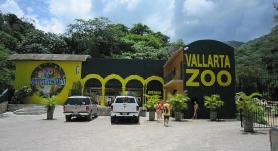 Anuncia Zoológico de Vallarta que tomará acciones legales por difamación y uso de imágenes falsas