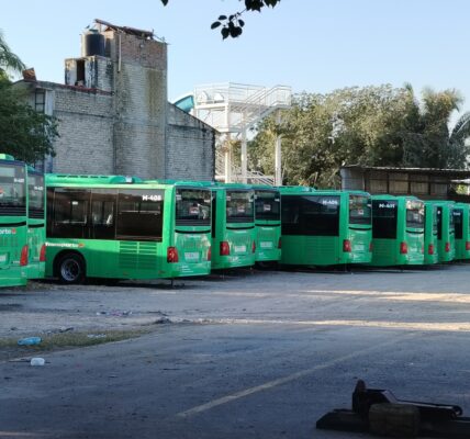 Siguen equipando camiones y esperando otro barco con más unidades